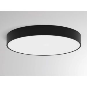 Molto Luce Bido