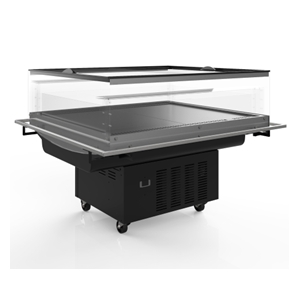 Carrier Areor TT 1251 G