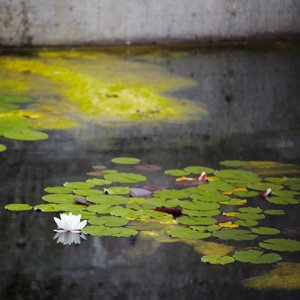 Energie Wasser Bern