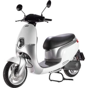 Ecooter E1R