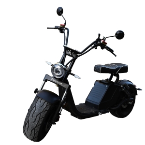 Ridelec Bikers One 45