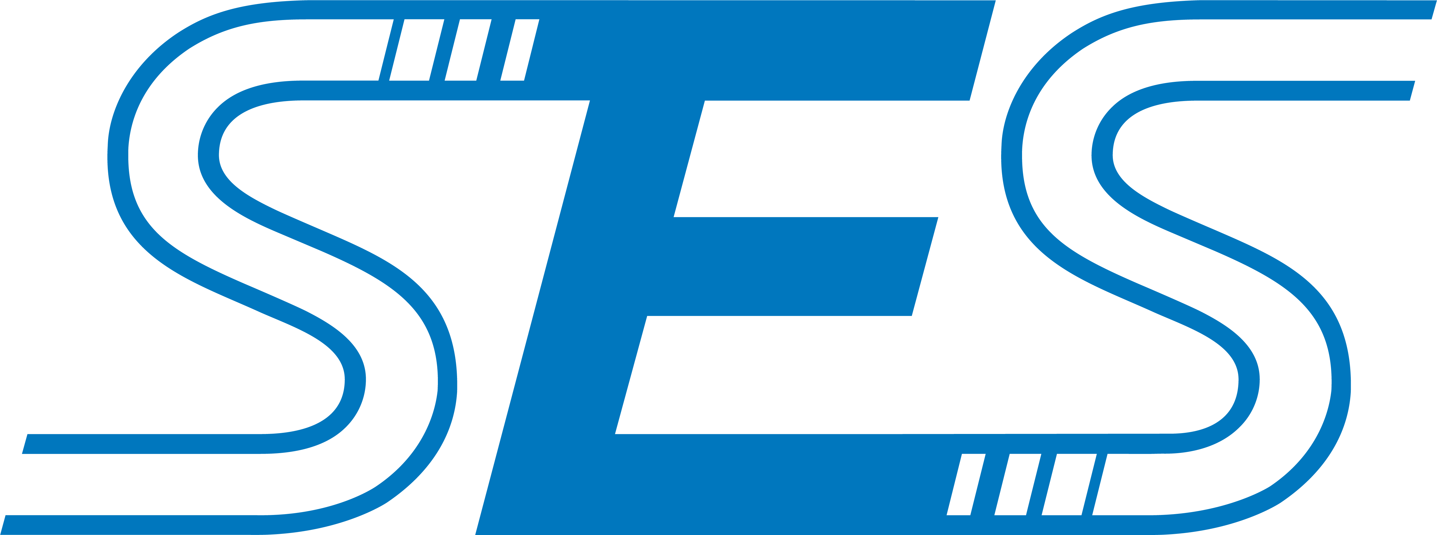 Società Elettrica Sopracenerina